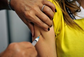 Febre amarela: chega a 300 o número de mortes confirmadas desde julho.(Imagem:Cidadeverde.com)