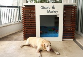 Marley em frente à casinha personalizada.(Imagem: Iwi Onodera / EGO)
