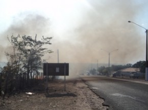 Fumaça na estrada(Imagem:Cida Santana)