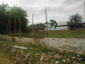 Alunos realizaram protesto contra obras inacabadas no CEEP em Floriano.(Imagem:FlorianoNews)