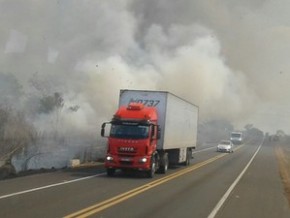 Fogo atinge área próximo a BR-343 em Campo Maior.(Imagem:Patrícia Andrade/G1)