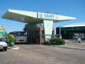 Suspeito estava trabalhando na Ceapi.(Imagem:Gil Oliveira/G1 Piauí)