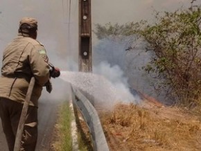 Bombeiros tiveram dificuldade para conter as chamas.(Imagem: Fernando Brito/G1)