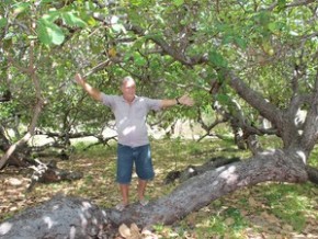 Raimundo Nonato tem o termo de posse do terreno.(Imagem:Gilcilene Araújo/G1)