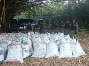 Mais de 1600 quilos de maconha prensada foram apreendidos.(Imagem: Divulgação/Polícia Militar)