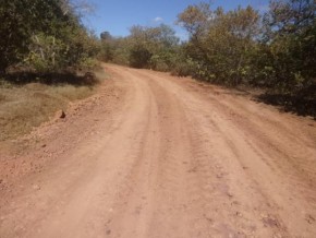 Idosa é vítima de tentativa de estupro em estrada vicinal de Floriano.(Imagem:FlorianoNews)