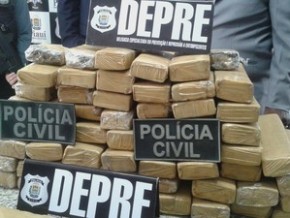 Parte da droga seria levada por mula para São Luís.(Imagem:Catarina Costa / G1 PI)