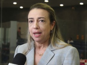 Delegada Eugênia Villa apresentou dados durnate a audiência.(Imagem:Gustavo Almeida/G1)