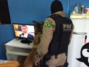 canil da Polícia Rodoviária Federal foi usado na operação.(Imagem:Divulgação/Polícia Civil)