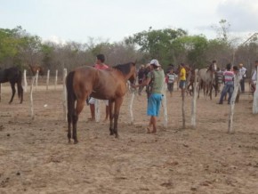 Realizada tradicional Corrida de Cavalos em Arraial-PI.(Imagem:FlorianoNew)