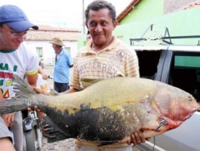 Bagar mostrando o peixe(Imagem:Divulgação)