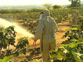 A Agência levou para o laboratório amostras de 18 tipos de alimentos. (Imagem:Divulgação)