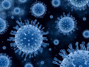 Vírus H1N1(Imagem:Reprodução)