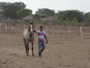 Realizada tradicional Corrida de Cavalos em Arraial-PI.(Imagem:FlorianoNews)