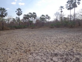 Seca preocupa agricultores(Imagem:FlorianoNews)