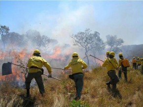 Candidatos aos cargos para a Brigada de Incêndio de Floriano iniciam testes nesta segunda.(Imagem:Divulgação)