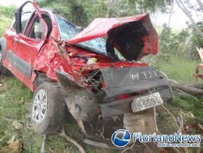 Jovem morre ao colidir em árvore na BR 343.(Imagem:FlorianoNews)