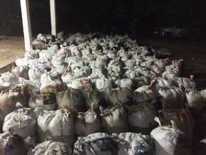 Ao todo 16 toneladas de droga foram apreendidas em fazenda.(Imagem:Divulgação/Polícia Civil)