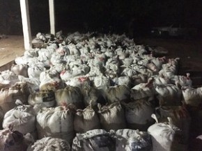 Ao todo 16 toneladas de droga foram apreendidas em fazenda.(Imagem:Divulgação/Polícia Civil)