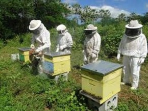 Emgerpi, Fapepi e Sedet estudam instalação de centro de pesquisa em Picos.(Imagem:Divulgação)