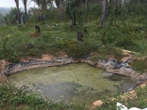 Quadrilha contava com sistema de irrigação especializado.(Imagem:Divulgação/Polícia Civil)