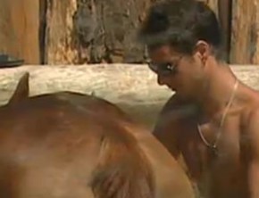 Sergio Abreu escova a égua Xereta(Imagem:Reprodução/ Rede Record  )