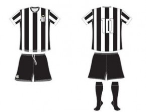 Segundo uniforme do Santos(Imagem:Reprodução/site oficial da CBF)