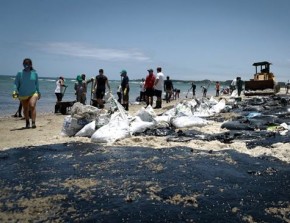 Para 42% da população, governo agiu mal em crise do óleo no litoral.(Imagem:Leo Malafaia / Folha de Pernambuco)