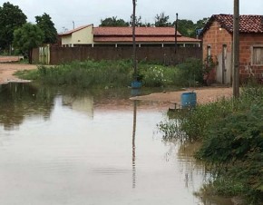 Chuva deixa famílias desabrigadas e Curimatá decreta calamidade pública.(Imagem:Cidadeverde.com)