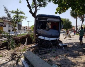 Ônibus desgovernado sobe canteiro central e bate em árvore no litoral.(Imagem:Cidadeverde.com)