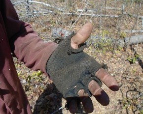 Resgatados em fazenda eram obrigados a 