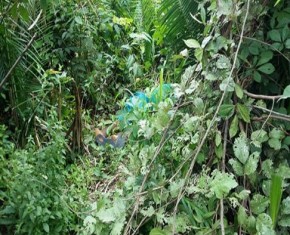 Corpo de soldador é encontrado em lixão em Teresina.(Imagem:Cidadeverde.com)
