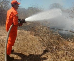 Incêndio é registrado em terreno no bairro Taboca, em Floriano.(Imagem:Jc24horas)