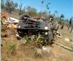 Caminhão carregado de ração sobra em curva e capota.(Imagem:Longah)