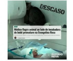 Maternidade investiga presença de animal ao lado de recém-nascido.(Imagem:Reprodução)