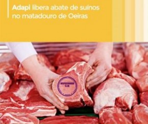 Adapi libera abate de suínos no matadouro de Oeiras.(Imagem:Divulgação)