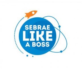 Sebrae abre inscrição para projeto de aceleração de startups em Teresina.(Imagem:Sebrae)