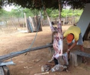 Homem é preso abatendo jumento; carne seria vendida a moradores como sendo de gado.(Imagem:Campo Maior Em Foco)