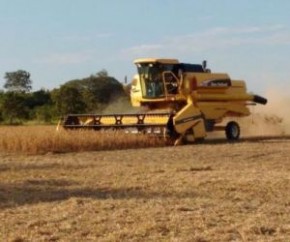 Quadrilha faz vigia de refém e leva R$ 1 milhão de fazenda de soja.(Imagem:Cidadeverde.com)