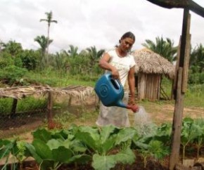 Emater inicia cadastro de mulheres rurais para projeto.(Imagem:Divulgação)