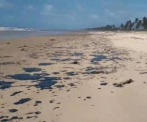 Sobe para 124 número de praias contaminadas por manchas de óleo.(Imagem:Divulgação)