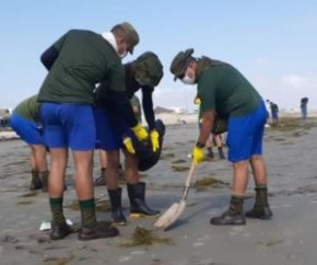 Força-tarefa recolhe 1,5 tonelada de material oleoso das praias piauienses.(Imagem:Cidadeverde.com)