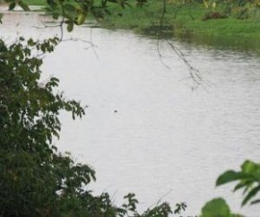 Corpo decapitado e com perfurações é encontrado no Rio Poti em Teresina.(Imagem:Cidadeverde.com)