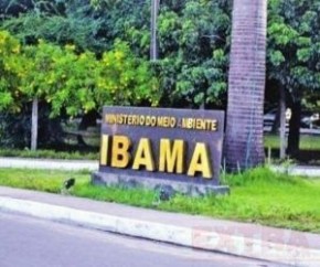 Concurso: Ibama deve abrir 1.888 vagas e salário até R$ 7,7 mil.(Imagem:CidadeVerde.com)