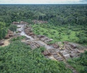 Estudo da Nasa vê Amazônia mais seca e vulnerável.(Imagem:Estadão Conteúdo)