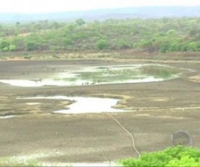 Piauí tem 87 cidades em emergência devido à falta de água para consumo humano.(Imagem:Reprodução)