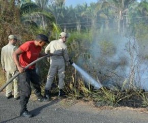 Bombeiros controlam focos de incêndio próximo a subestação da Chesf.(Imagem:Portalodia)