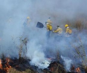 Piauí bate recorde em focos de calor com aumento de 45% em relação a 2017.(Imagem:Nicélio Silva/Ibama)