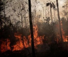 Polícia identifica suspeitos de provocar queimadas na Amazônia.(Imagem:Divulgação)