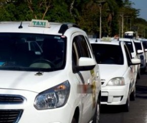 Taxista usava táxi para realizar delivery de drogas em bares e restaurantes de Teresina.(Imagem:Cidadeverde.com)